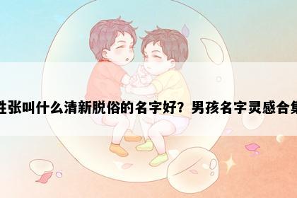 姓张叫什么清新脱俗的名字好？男孩名字灵感合集