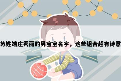 苏姓端庄秀丽的男宝宝名字，这些组合超有诗意