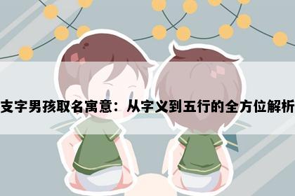 支字男孩取名寓意：从字义到五行的全方位解析