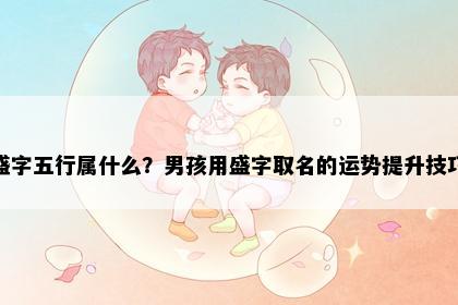 盛字五行属什么？男孩用盛字取名的运势提升技巧