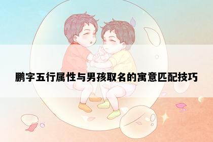 鹏字五行属性与男孩取名的寓意匹配技巧