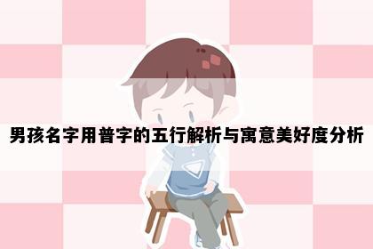 男孩名字用普字的五行解析与寓意美好度分析