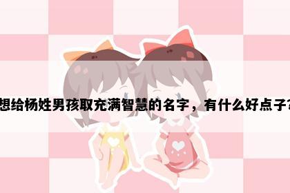 想给杨姓男孩取充满智慧的名字，有什么好点子？