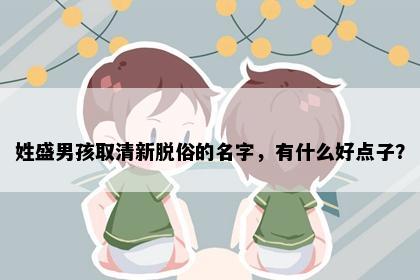 姓盛男孩取清新脱俗的名字，有什么好点子？