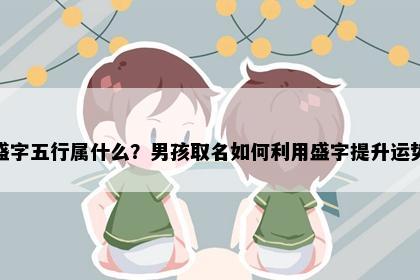 盛字五行属什么？男孩取名如何利用盛字提升运势