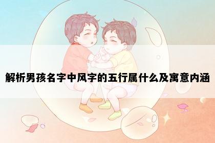 解析男孩名字中风字的五行属什么及寓意内涵